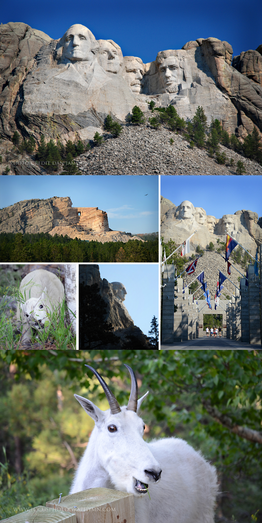 MT-Rushmore-Collage-900w-final2